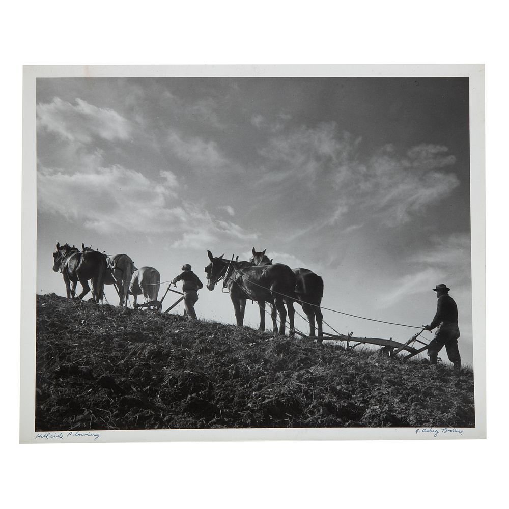 Appraisal: A Aubrey Bodine Hillside Plowing American - Gelatin silver print