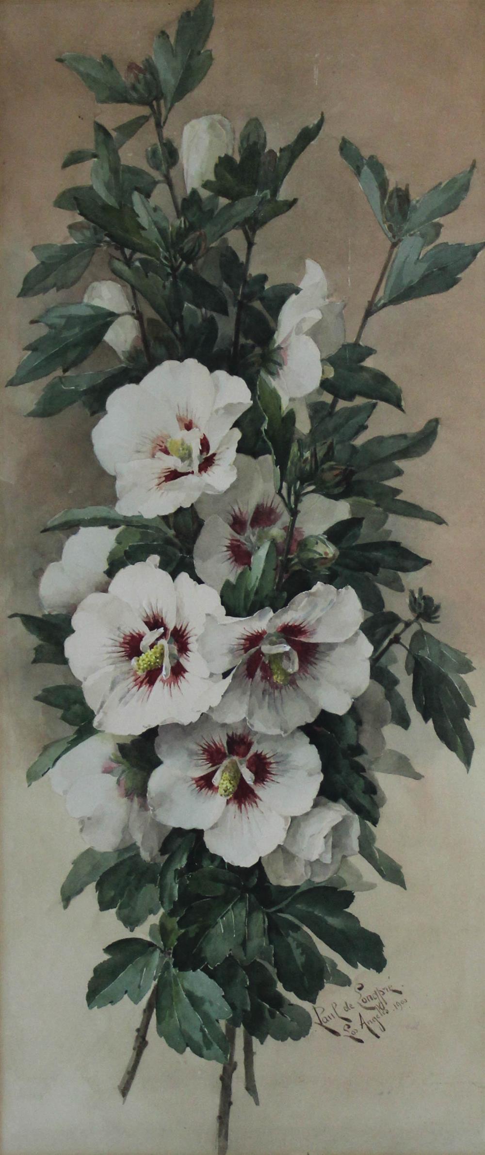 Appraisal: PAUL DE LONGPRE AMERICAN - HIBISCUS Watercolor on paper x