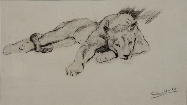 Appraisal: ARTHUR WARDLE - Reclining lioness signed charcoal on paper x