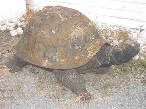 Appraisal: CAST IRON GALAPAGOS TORTOISE FOUNTAIN h w d in Other