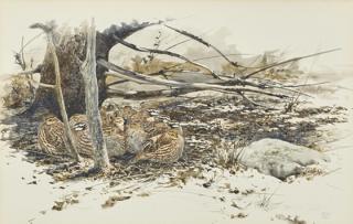 Appraisal: Robert Verity Clem - Quail Huddle signed and dated RVC