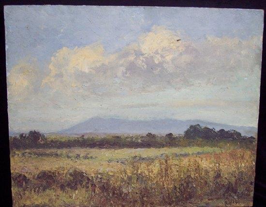 Appraisal: Walter J AndersonLandscape Near Bowral New South Walessignedoil on canvas