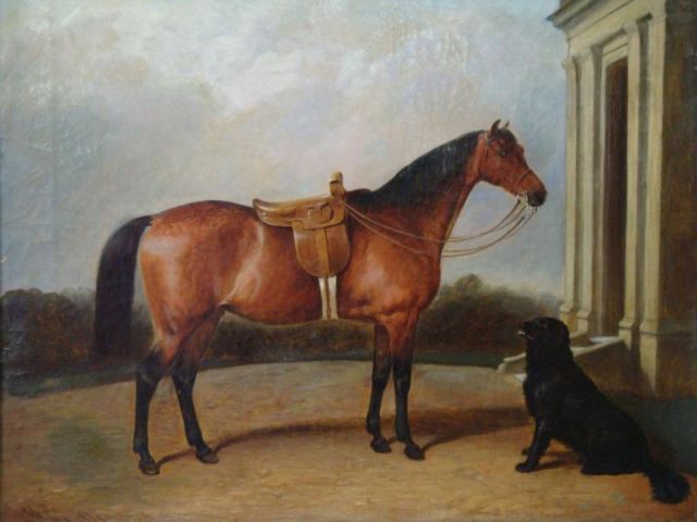 Appraisal: COLE James William O C Horse Portrait Dog Signed and