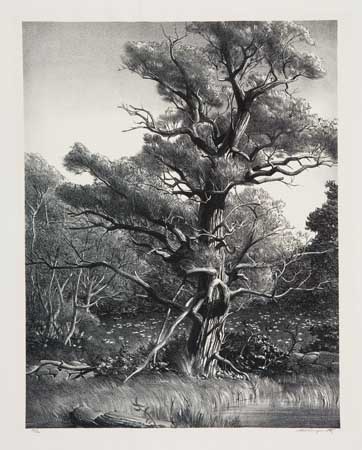 Appraisal: STOW WENGENROTH Three lithographs Forest Glade Edition of Signed and