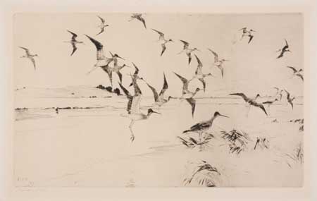 Appraisal: FRANK W BENSON Yellowlegs Alighting Drypoint x mm x inches