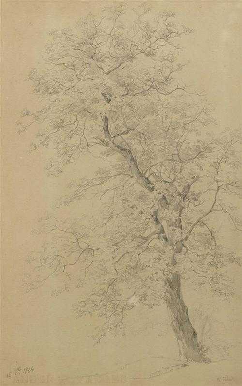 Appraisal: Z ND ROBERT Lucerne Oak Pencil on paper Signed lower