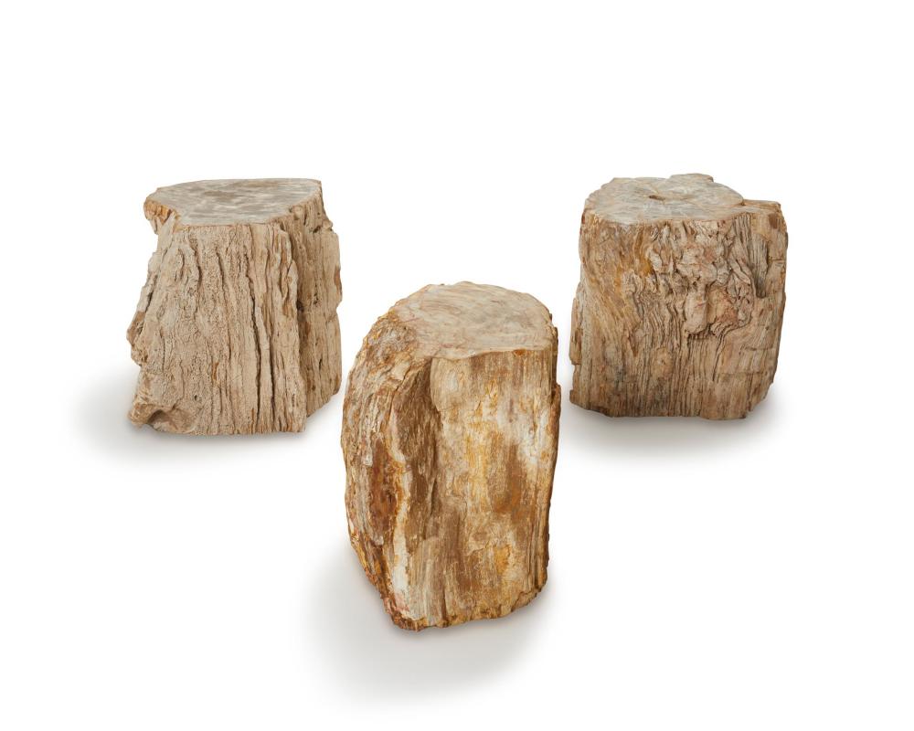 Appraisal: A set of three petrified wood side tables st Century