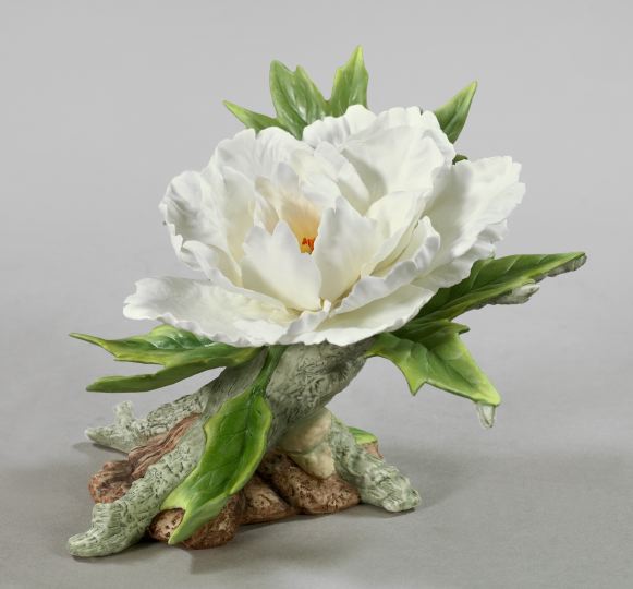 Appraisal: Large and Fine Boehm Porcelain Tree Peony from the th