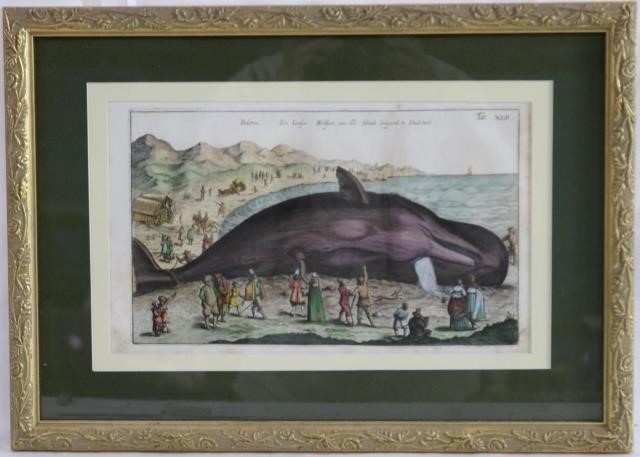 Appraisal: CA MERIAN WHALE PRINT PLATE FOLIO STEDITION JON JONSTON'S HISTORIA