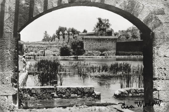 Appraisal: MODOTTI TINA - Untitled watery garden Silver print on carte