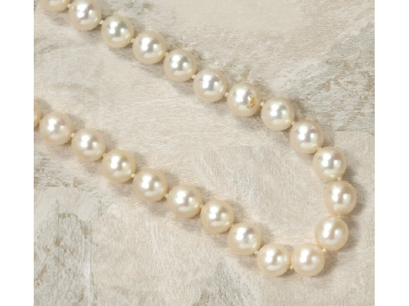 Appraisal: CULTURED PEARLS Thirty-one inch opera length pearl necklace with pearls