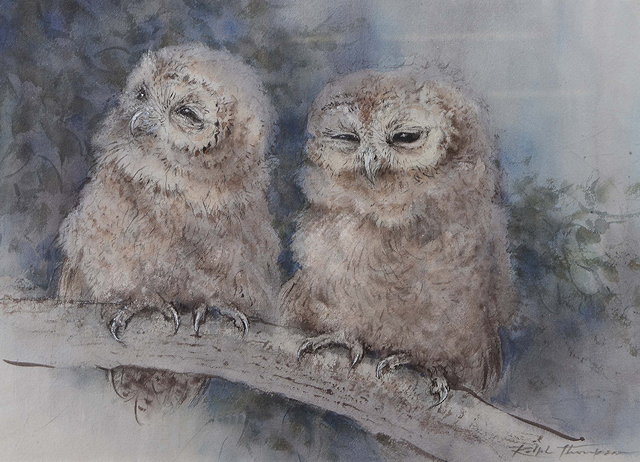 Appraisal: RALPH THOMPSON - A pair of Tawny Owl Chicks watercolour