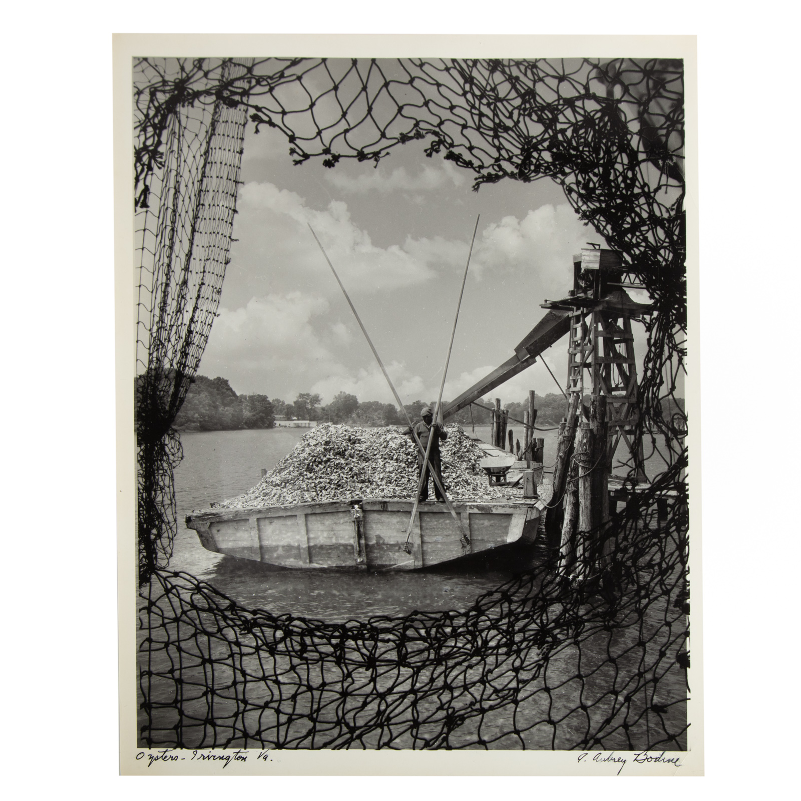 Appraisal: A AUBREY BODINE OYSTERS-IRVINGTON VA PHOTOGRAPH American - Gelatin silver