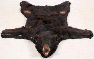 Appraisal: ALASKAN BROWN BEAR RUG ALASKAN BROWN BEAR RUG W '