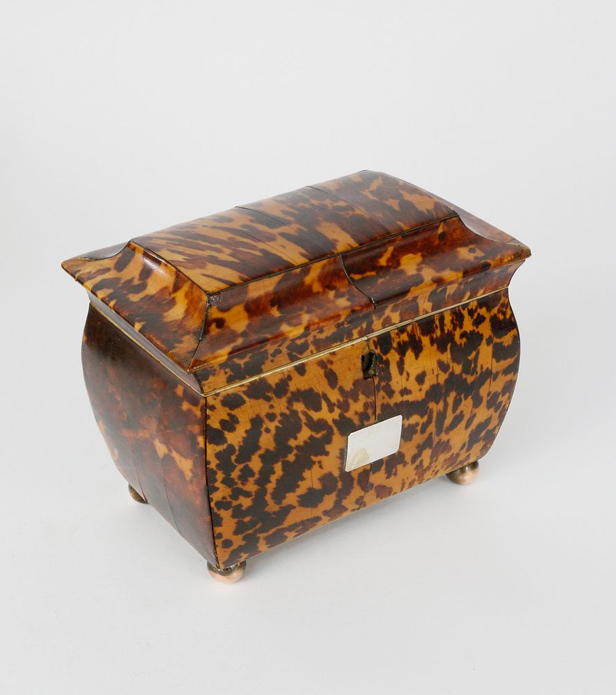 Appraisal: English Regency Tortoiseshell Double Compartment Tea Caddy th c English