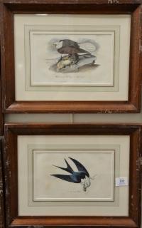 Appraisal: Set of six Audubon prints Drawn from nature by J