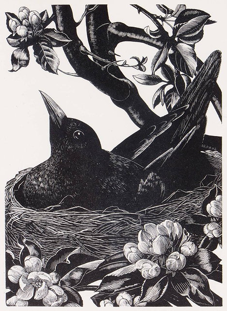 Appraisal: CLARE LEIGHTON - 'Blackbird on Nest' wood engraving x cm