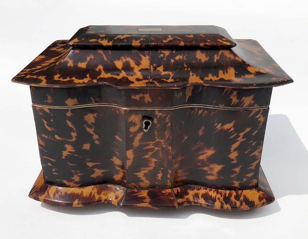 Appraisal: English Regency Tortoiseshell Double Compartment Tea Caddy Exclusive on Bidsquare