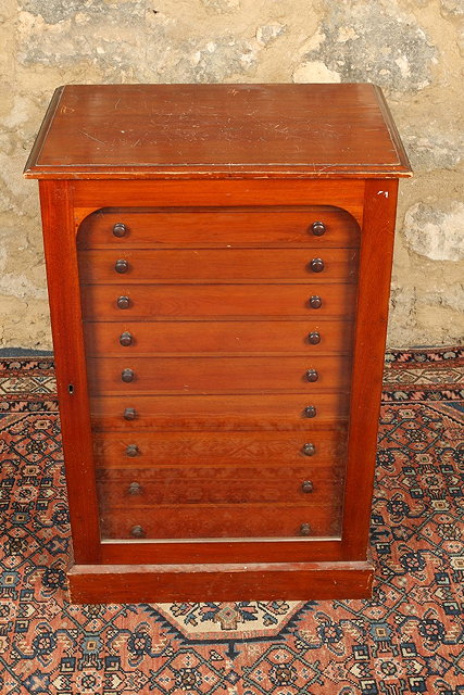 Appraisal: AN EDWARDIAN MAHOGANY COLLECTORS CABINET the interior fitted ten drawers