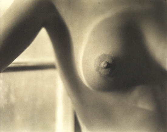 Appraisal: WESTON EDWARD - WESTON COLE - Nude Breast and Window