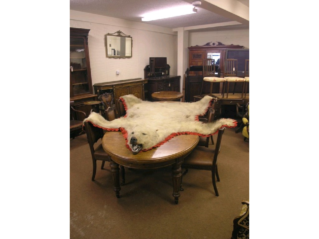 Appraisal: A rare early th century polar bear rug his jaw