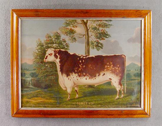 Appraisal: Charles S Humphreys English - Oil on canvas Hereford bull