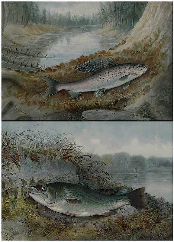 Appraisal: Samuel A Kilbourne Maine - Two plates from Game Fishes