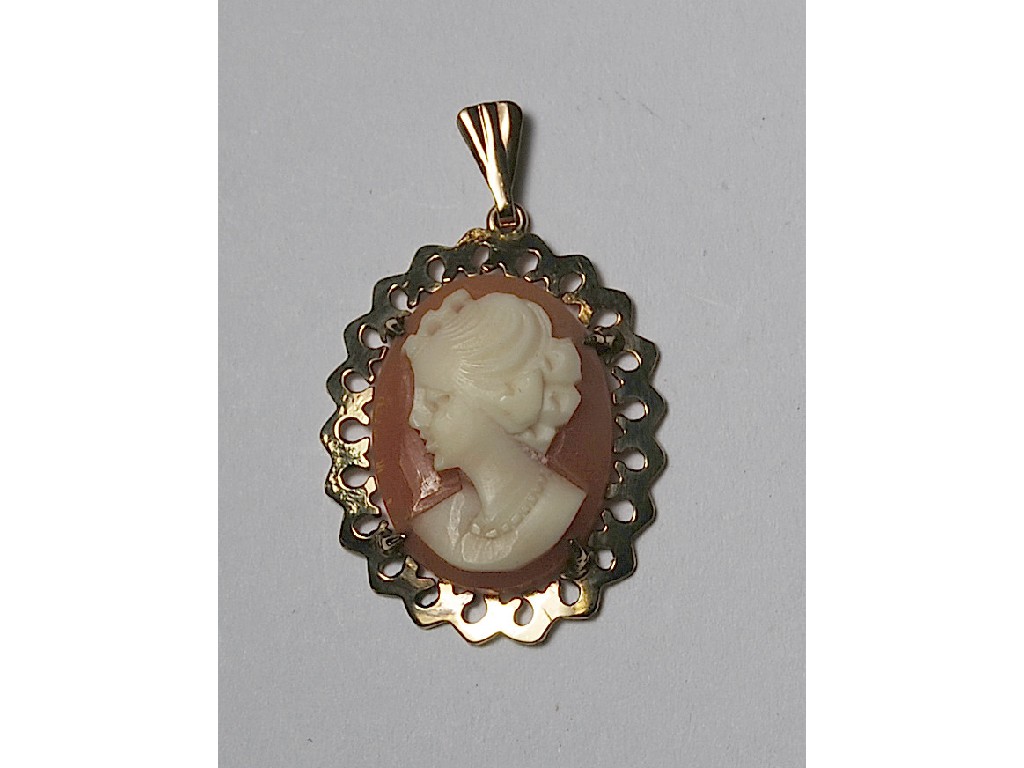 Appraisal: ct shell cameo pendant