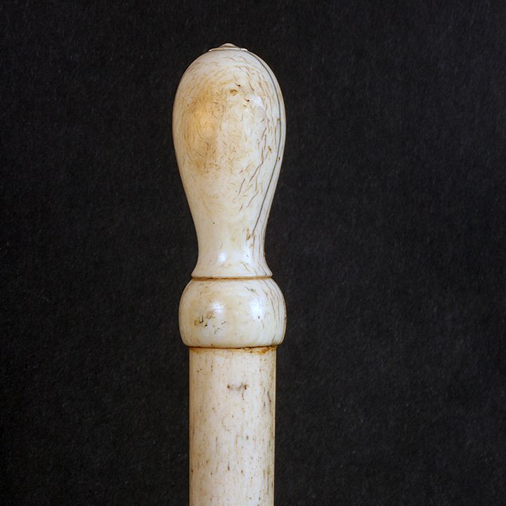 Appraisal: Nautical Whale Bone Cane Ca - A whale's tooth plum