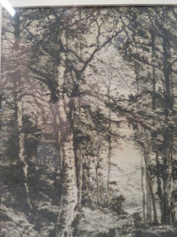 Appraisal: C P Slocombe etching landscape with birches signed in plate