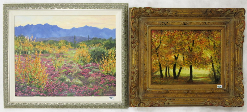 Appraisal: TWO LANDSCAPE PAINTINGS Mark Daniels Arizona New Mexico th st