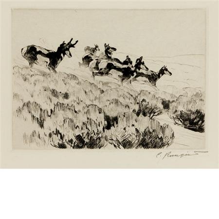 Appraisal: Carl Rungius ANTELOPE Etching and drypoint Estimate -