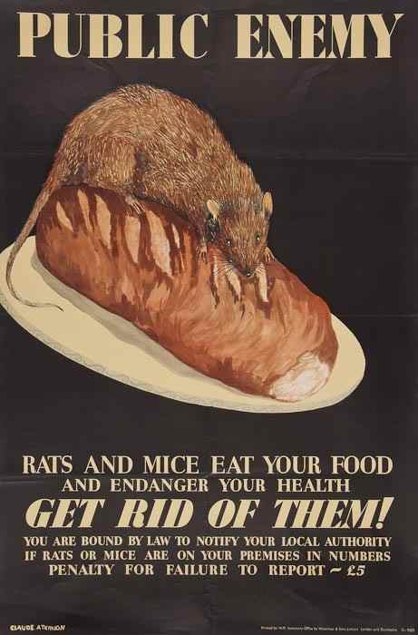 Appraisal: A quantity of European anti-rodent public health posters mostly British