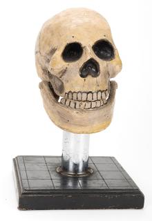 Appraisal: Talking Skull Circa Faux skull resting on a chromed stand