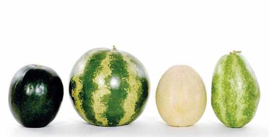 Appraisal: Mary Kirk Kelly ceramic melons cantelope Piel de Sapo watermelons