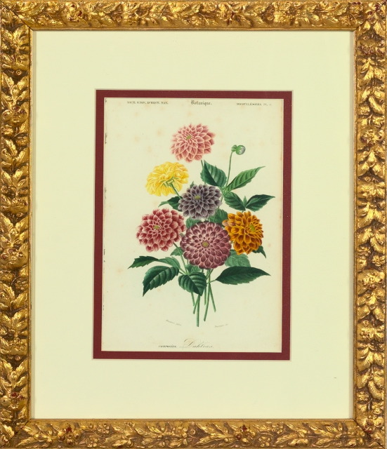 Appraisal: French School th Century Florals suite of five hand-colored engravings