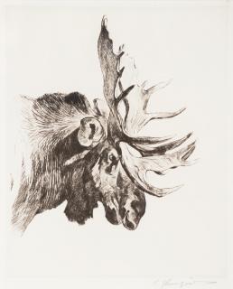 Appraisal: CARL RUNGIUS - Old Bull Young Bull The Rivals etching