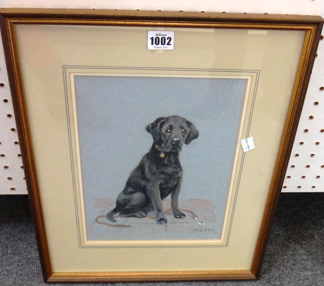 Appraisal: Mabel Gear - Labrador watercolour signed cm x cm DDS