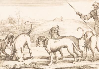 Appraisal: Wencelaus Hollar Czech - Hunting Dogs engraving cm x cm