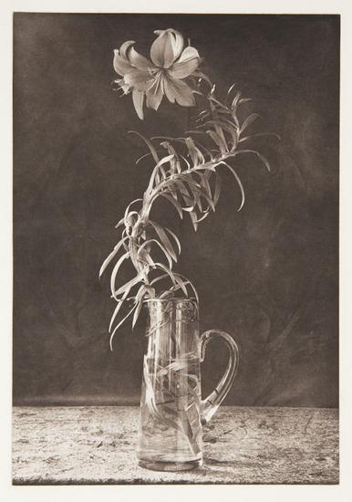 Appraisal: Lou SpitalnickThree prints Tiger Lily in Glass Vase photogravure signed