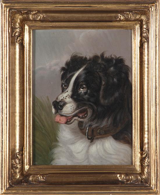 Appraisal: British dog portrait attributed to E C Barnes British fl