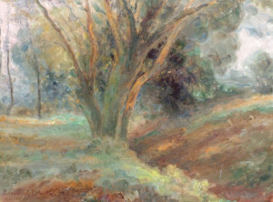 Appraisal: British School mid th century-Wooded landscape oil on board signed