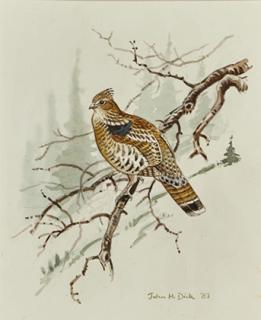 Appraisal: John Henry Dick - Grouse signed and dated John H