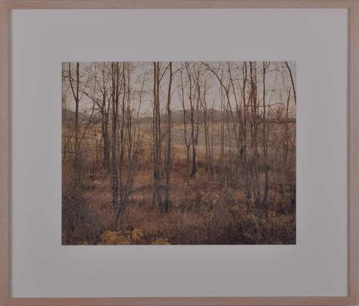 Appraisal: JOEL STERNFELD b NEAR NORTHAMPTON MASSACHUSETTS OCTOBER Ektacolor print x