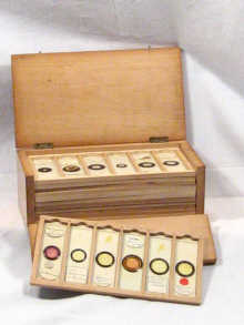 Appraisal: A box of mounted microscope slides circa