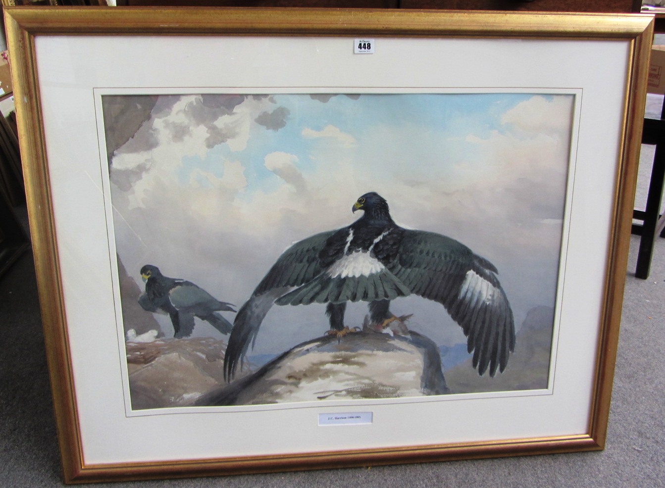 Appraisal: John Cyril Harrison - Verraux's Eagle watercolour cm x cm