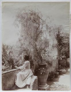 Appraisal: Photographs Wilhelm von Gloeden lot of Wilhelm von Gloeden German