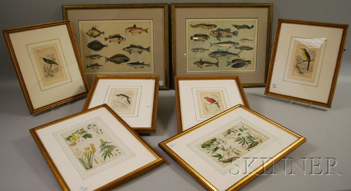 Appraisal: Eight Framed Hand-colored Botanical Ornithological and Fish Bookplates including a