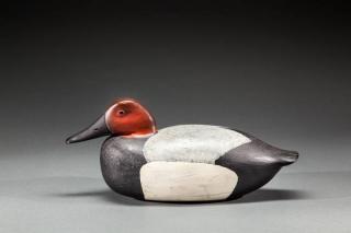 Appraisal: Canvasback Lawrence McLaughlin - Edgely PAc A hollow low-head Delaware