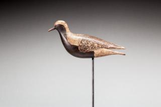 Appraisal: Black-Bellied PloverMassachusetts c A shorebird decoy exhibiting split-tail carving with